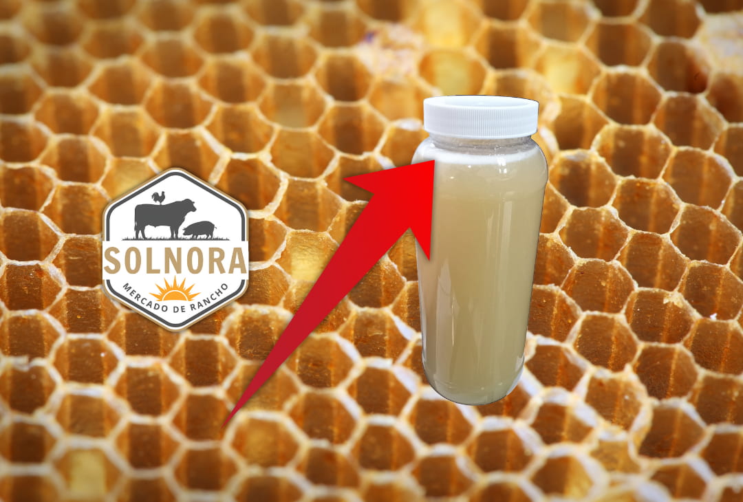 Esa Capa Blanca en la Miel Cruda: ¡No la Tires, Disfrútala!