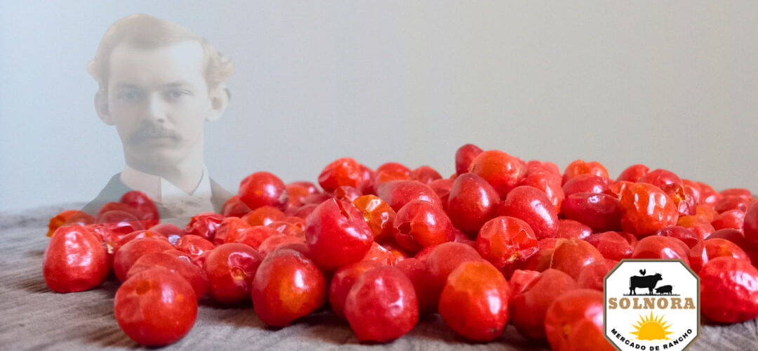 chiltepines sobre madera
