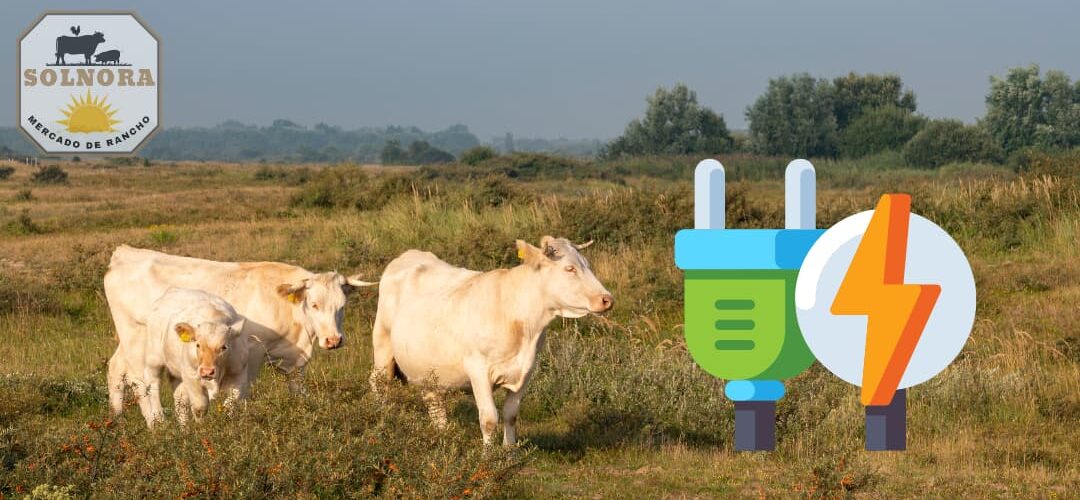 Vacas en Rancho con imagen de energía eléctrica