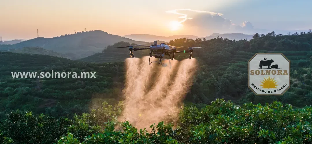 Dron fumigando plantación en México durante el atardecer