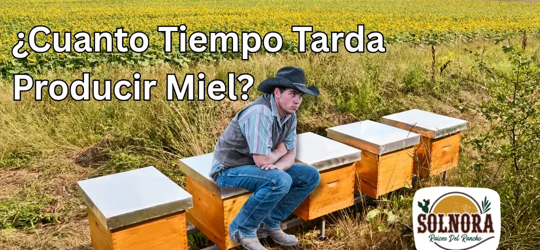 vaquero sentado en caja de colmenas, solo esperando